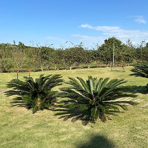 Condominio Villas do Campeche